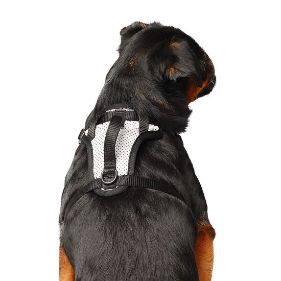 The Everything Harness for Dogs Image NaN