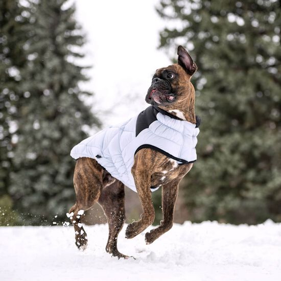 Manteau elasto-fit matelassé Diamand pour chiens Image NaN