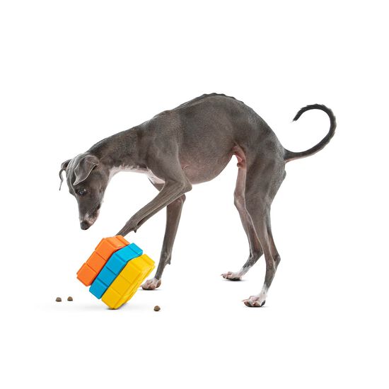 Dog X-Cube Toy for Dogs Image NaN