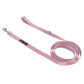 Laisse pour chiens, moyen