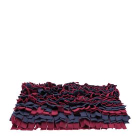Dog Activity sniffing carpet