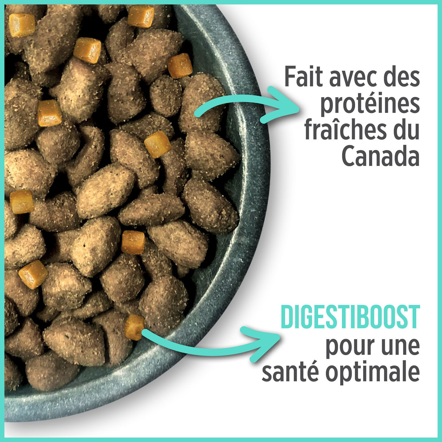 Oral health formula for cats Nutrience Mondou