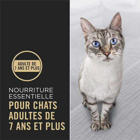 Nourriture s&egrave;che Complete Essentials Adulte 7+ formule poulet et riz pour chats, 6,35 kg Image NaN