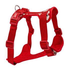 Neoprene Harness for Dogs, Cherries