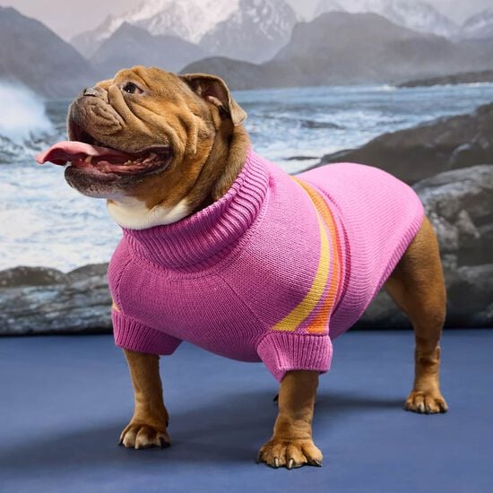 Pull col roul&eacute; sculpt&eacute; bord de mer pour chiens, Vague rose Image NaN