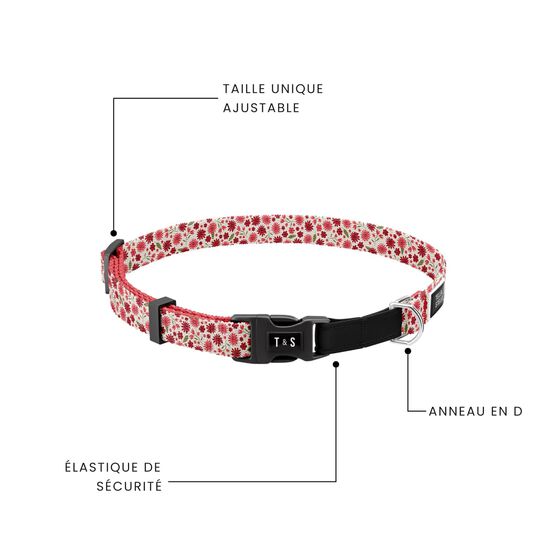 Collier pour chats Image NaN