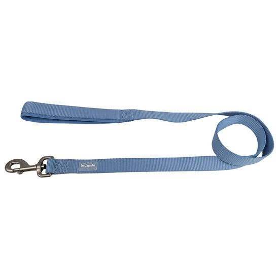 Neoprene Leash for Dogs, Icy Blue Image NaN