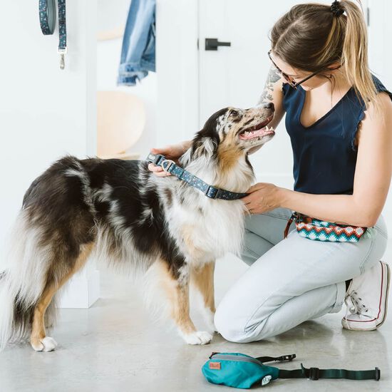 Pet Belt Pouch Image NaN