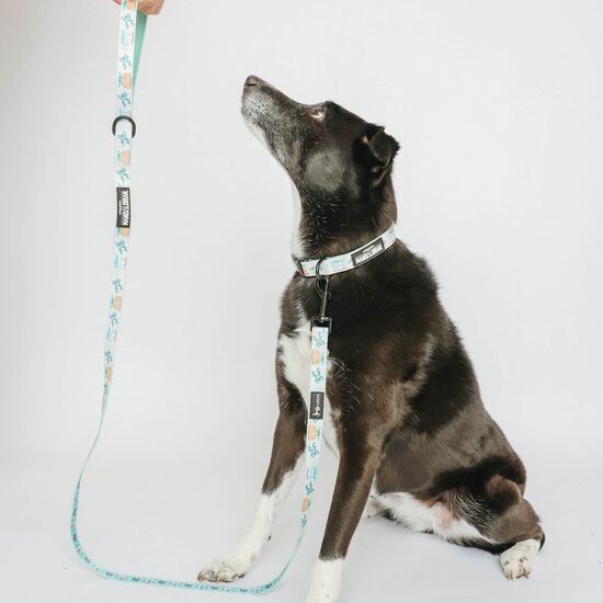 STAR WARS The Child Walkie Pack for Dogs Image NaN