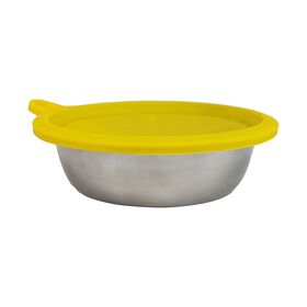 Stainless Steel Bowl with Silicone Lid