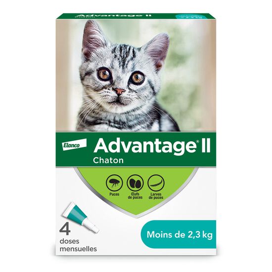 Topical Flea Protection for Kitten, 4 pack Image NaN