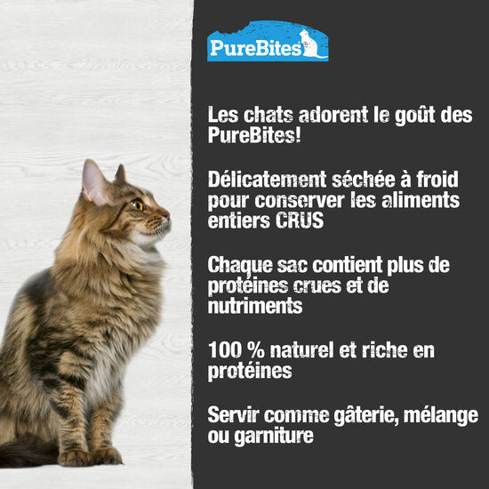 G&acirc;teries s&eacute;ch&eacute;es &agrave; froid Cru au thon pour chats, 52&nbsp;g Image NaN