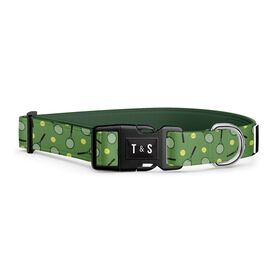 Adjustable Dog Collar