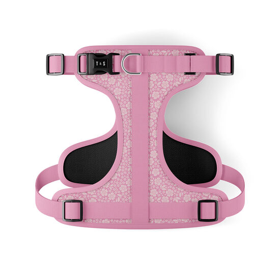 Harnais r&eacute;glable pour chiens Image NaN