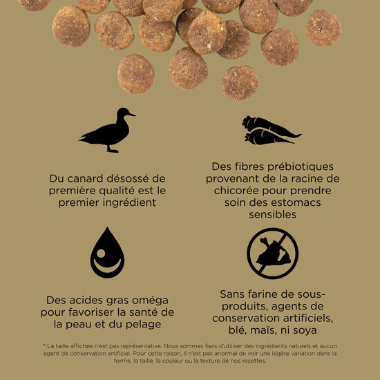 Recette « Sensitivities » sans grains au canard à ingrédients limités pour chiens, 1,59 kg Image NaN