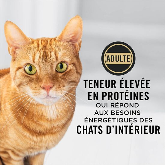 Specialized Indoor Chicken and Rice Dry Food for Cats, 7.26 kg Image NaN