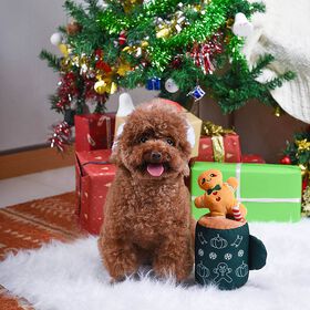 Jouet en peluche couineur latt&eacute; au pain d'&eacute;pices pour chiens