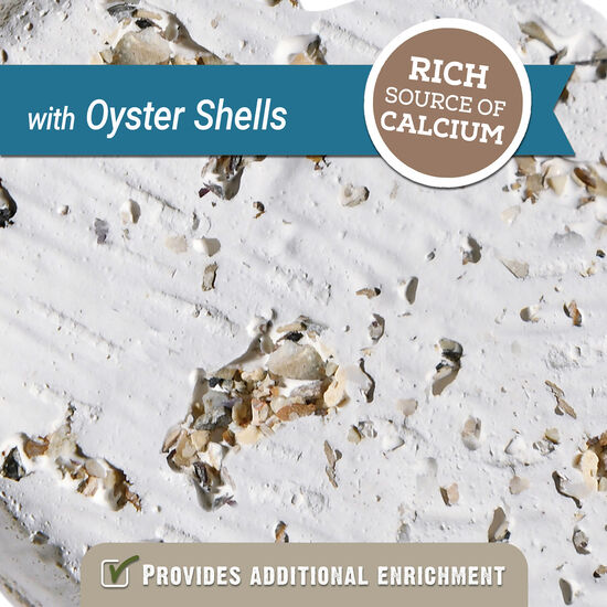 Mineral Block with Oyster Shells Image NaN
