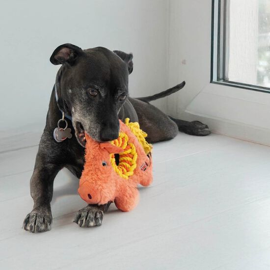 Ringaroos Pig Toy for Dogs Image NaN