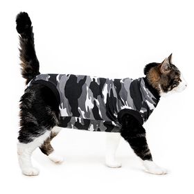 Vêtement de convalescence pour chats