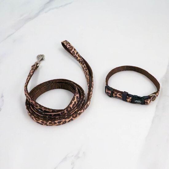 Mini Collar for Dogs, Leopard Image 3.0