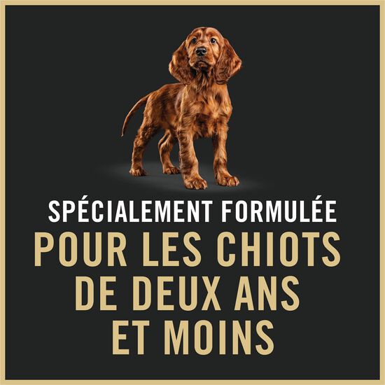 Entr&eacute;e de saumon et riz Classique D&eacute;veloppement peaux et estomac sensibles pour chiots, 368 g Image NaN