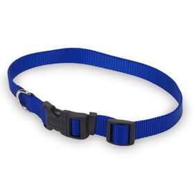 Blue nylon collar