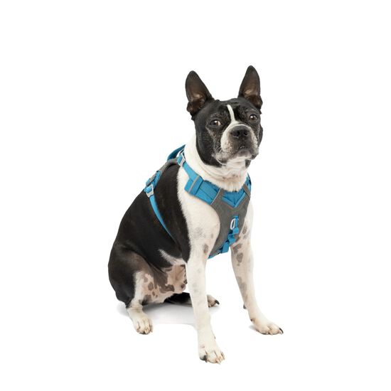 Journey Air Dog Harness Blue, XS Image NaN