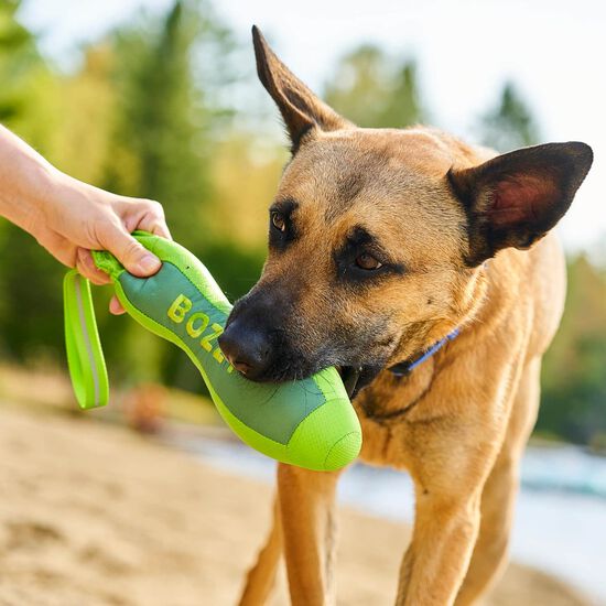 Durable Single-handle Toy for Dogs Image NaN