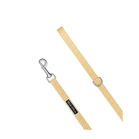 Laisse &laquo; Florence &raquo; pour chien Image NaN