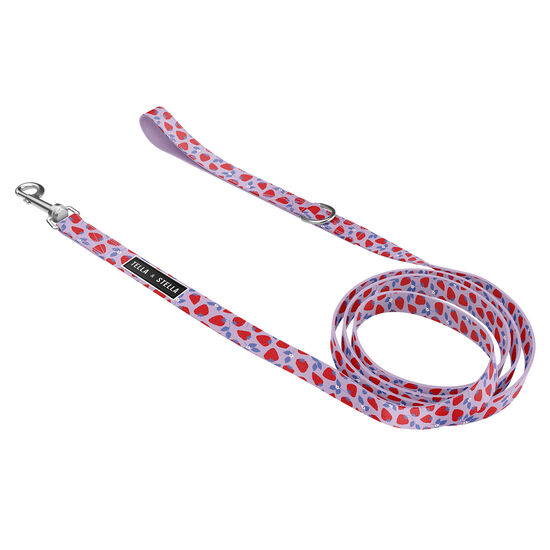 Strawberry Field Dog Leash Image NaN