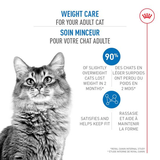 Formule Soin Minceur pour chats adultes Image NaN
