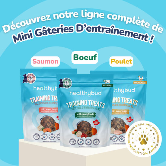 Mini Training Salmon Treats for Dogs Image NaN