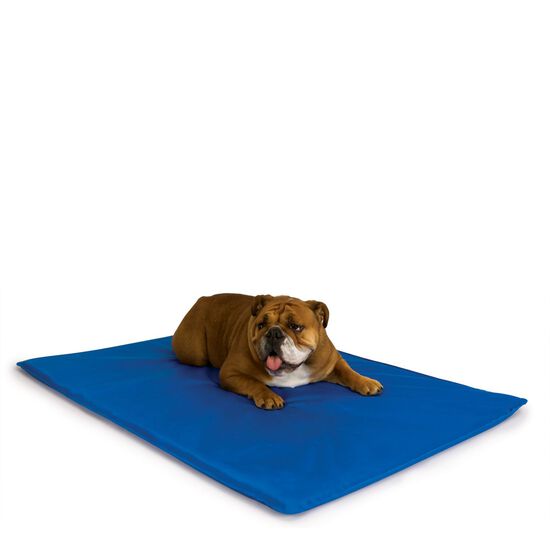 Cool Bed III cooling mat for dogs, blue Image NaN