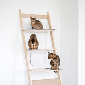 Ladder cat tree