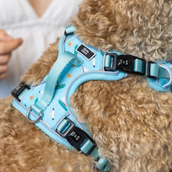 Harnais robuste avec poign&eacute;e pour chiens Image NaN