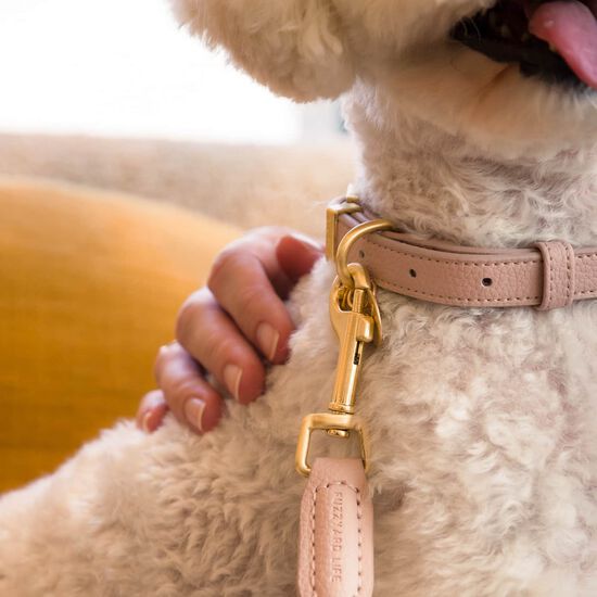 Collier FuzzYard Life Atelier pour chiens, rose p&acirc;le Image NaN