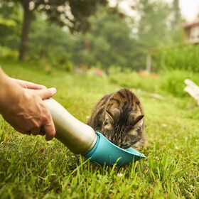 Portable 4-in-1 Water Bottle