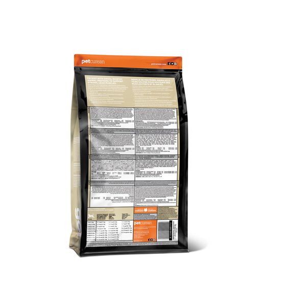 Recette « Carnivore » sans grains à l'agneau et au sanglier pour chiens, 9,98 kg Image NaN