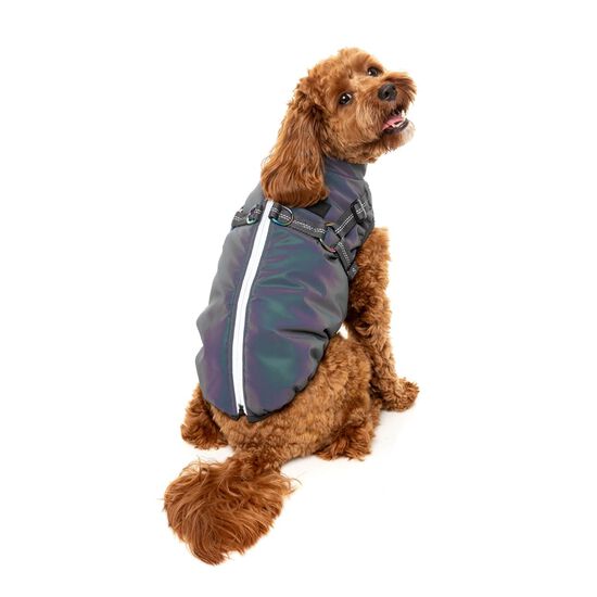 Veste flash r&eacute;fl&eacute;chissante pour chiens Image NaN