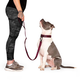 Utility Leash for Dogs