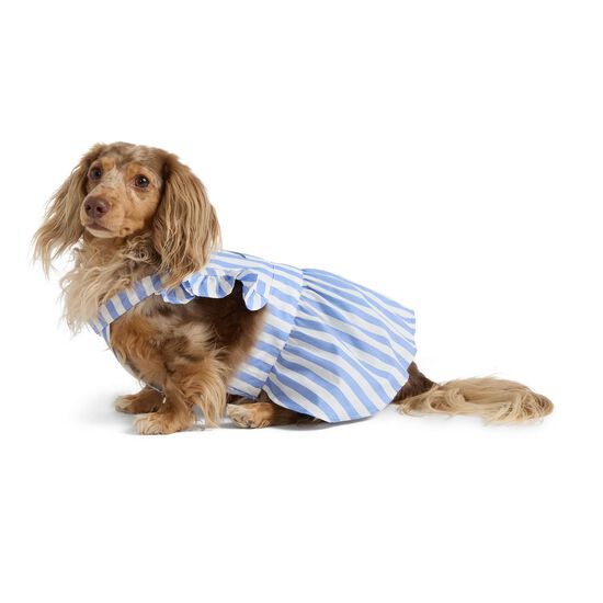 Striped Poplin Dress for Dogs Image NaN