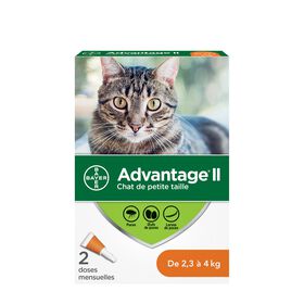Topical flea protection for cat 2.3-4 kg, 2 pack