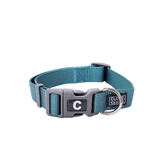 Adjustable Dog Collar, Turquoise Image NaN