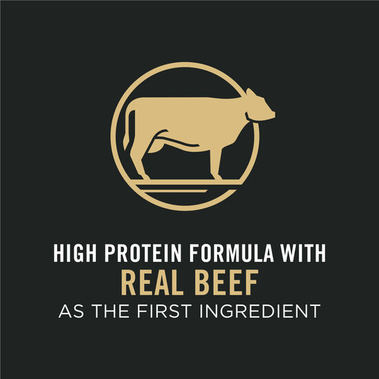 Complete Essentials Shredded Blend Beef & Rice Formula Dry Dog Food, 15.9 kg Image NaN