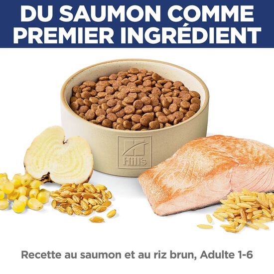 Salmon & Brown Rice Recipe Dry Food for Adult Cats, 6.8 kg Image NaN