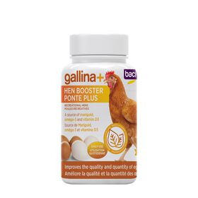Supplément Gallina+ Ponte Plus pour poules récréatives