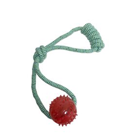 Dental toy with knotted pulling rope and ball