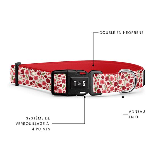 Collier r&eacute;glable pour chiens Image NaN