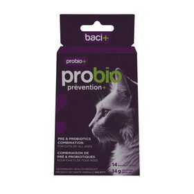 Pr&eacute; et probiotiques pour chats